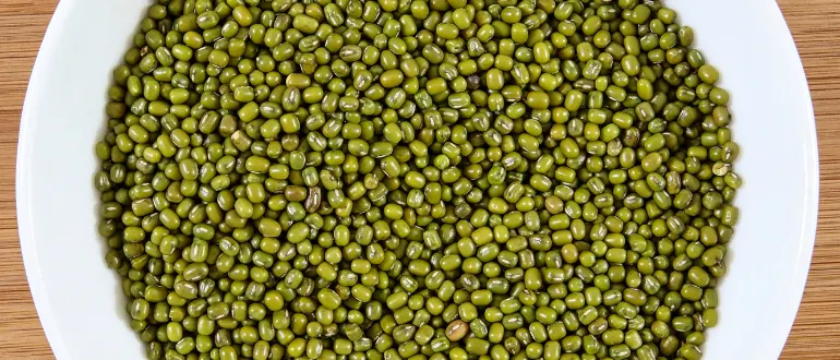 Green Lentils